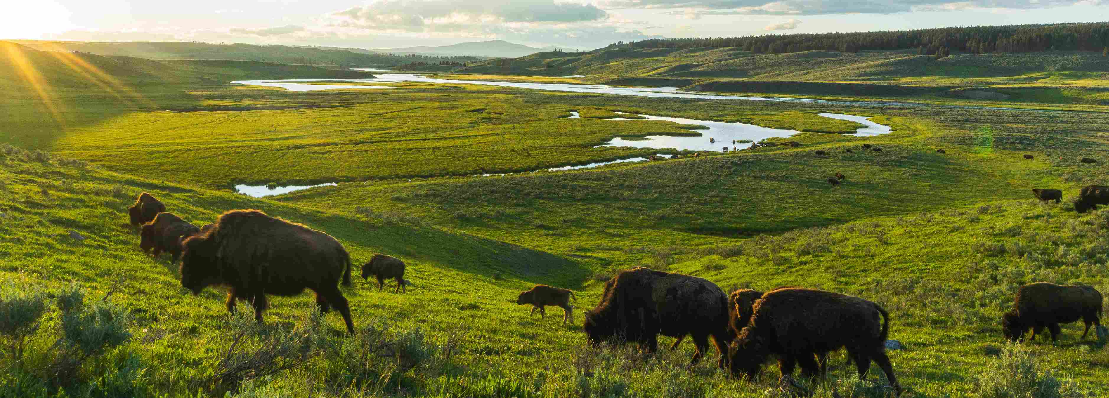 Beautiful Rangelands and Grasslands: Learning to See What Has Long Been Overlooked