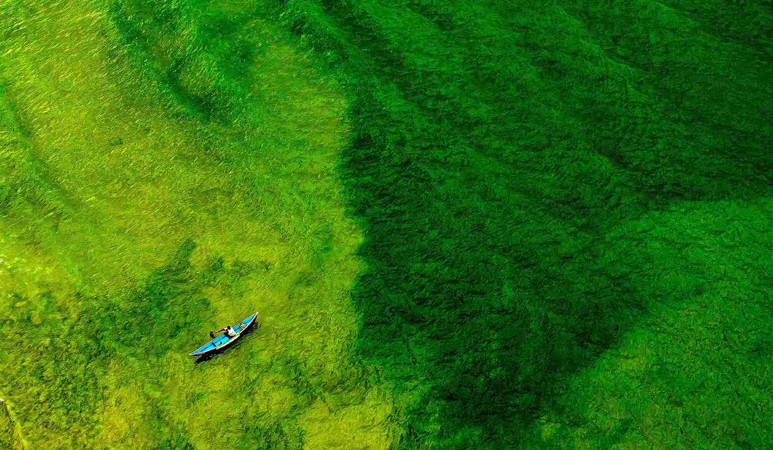 15th edition - Camera