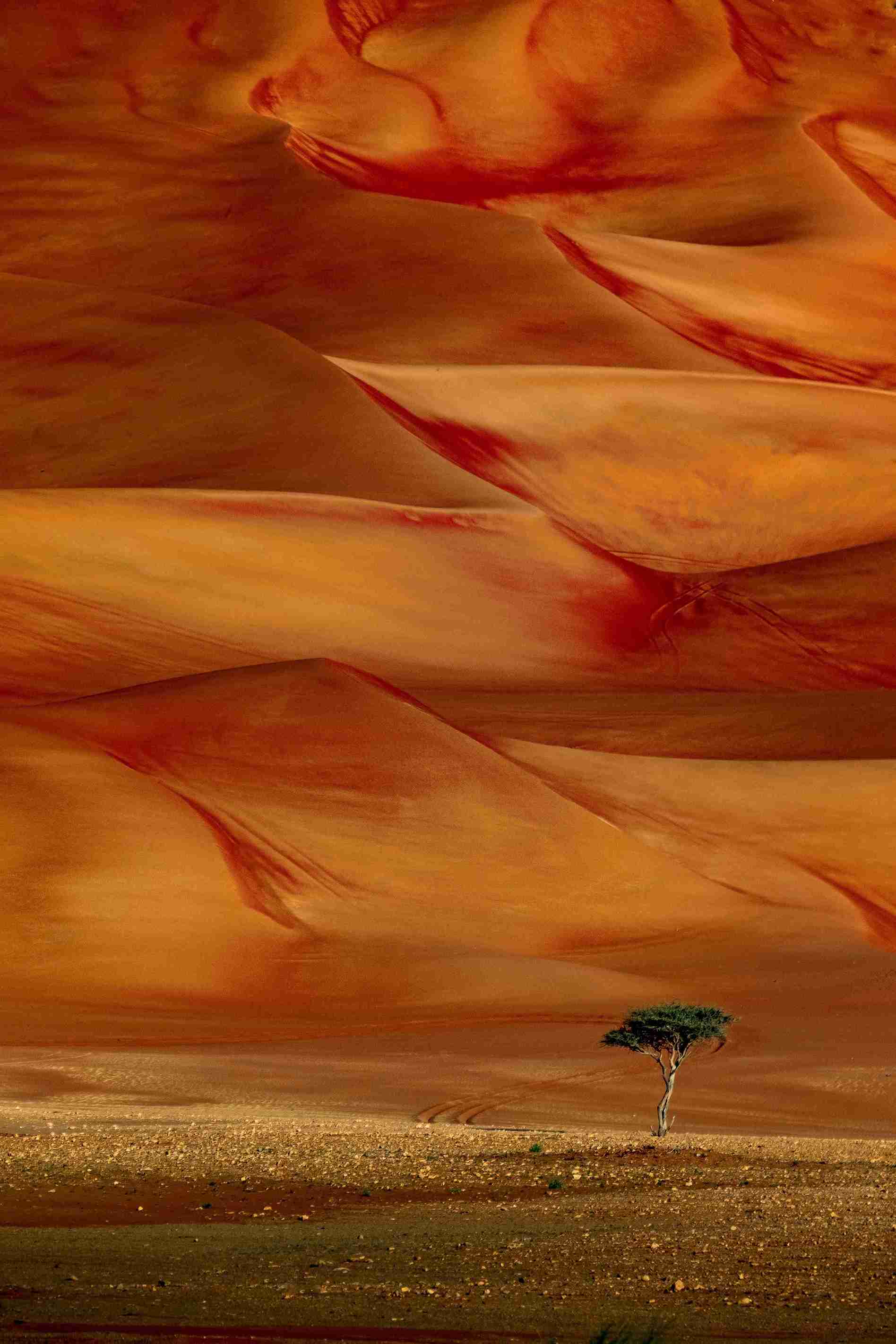 15th edition - Camera