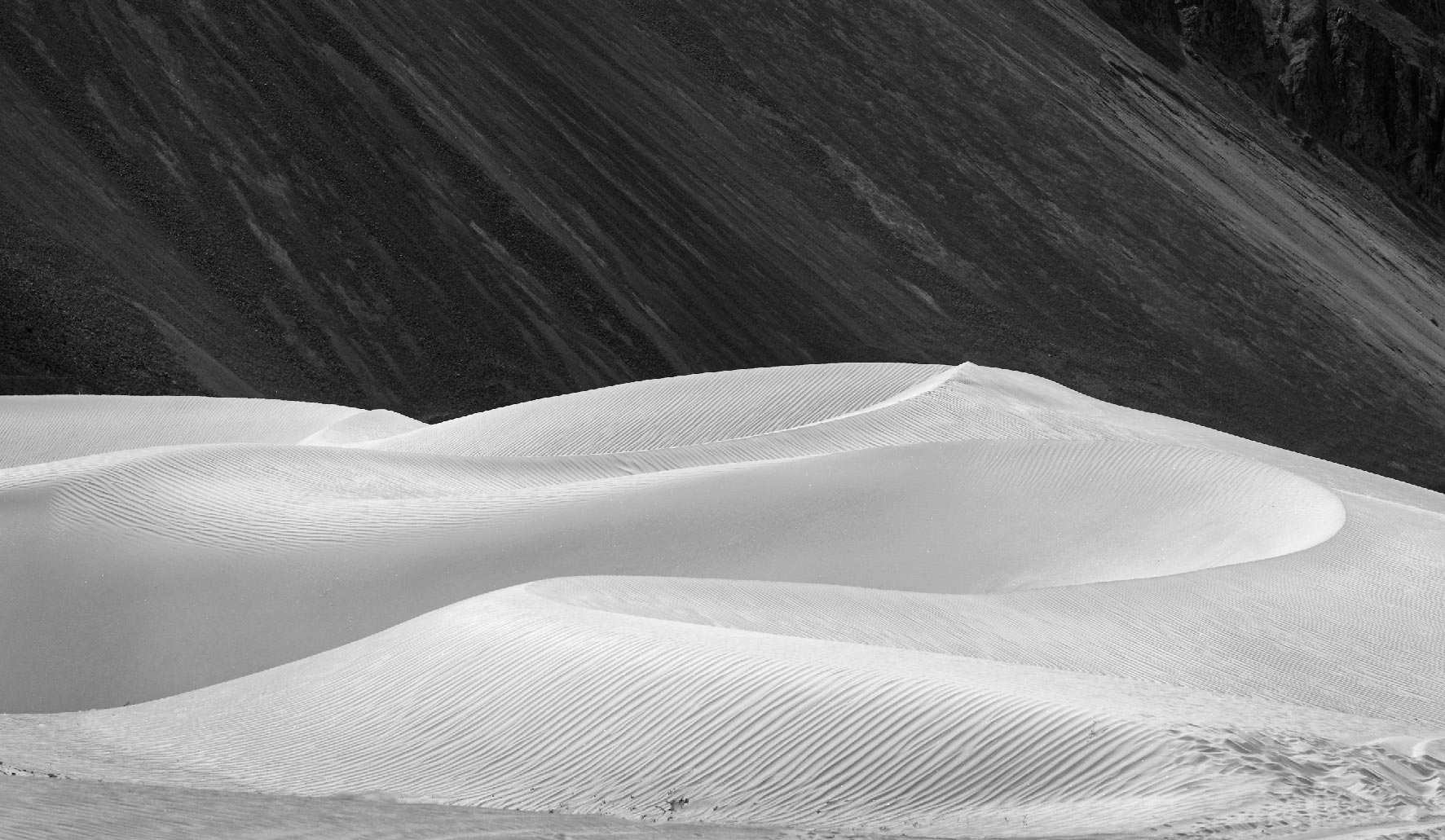 15th edition - Camera