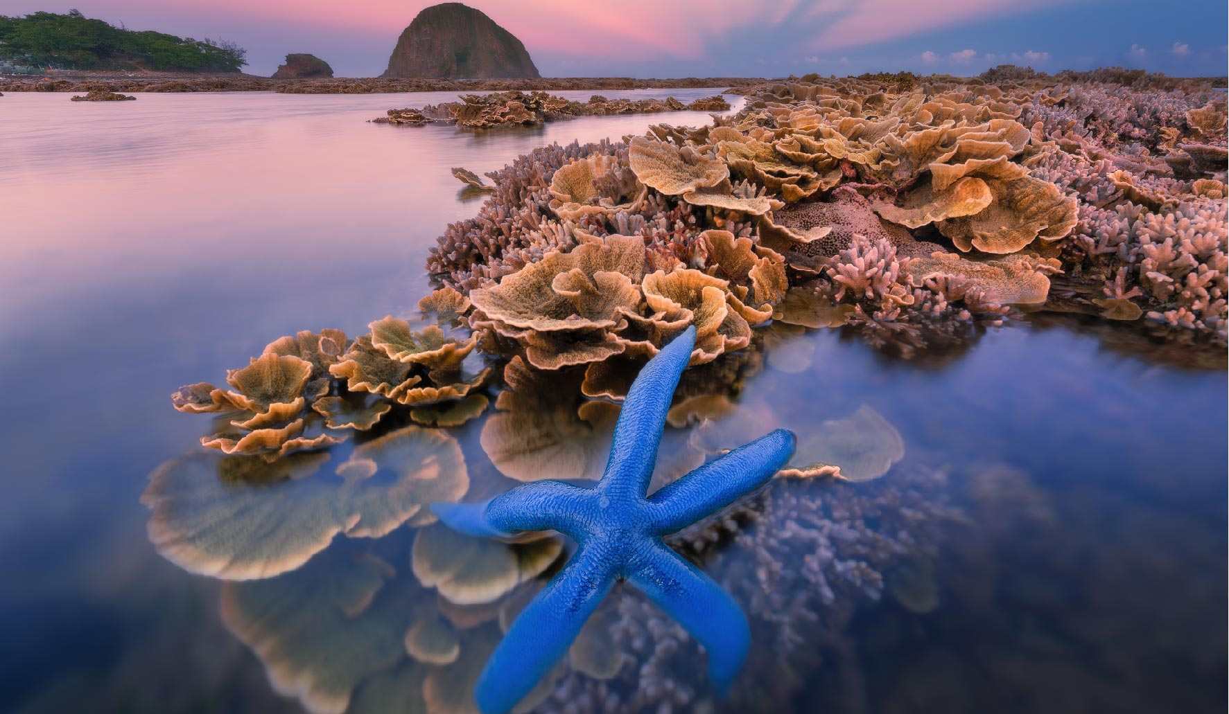 15th edition - Camera