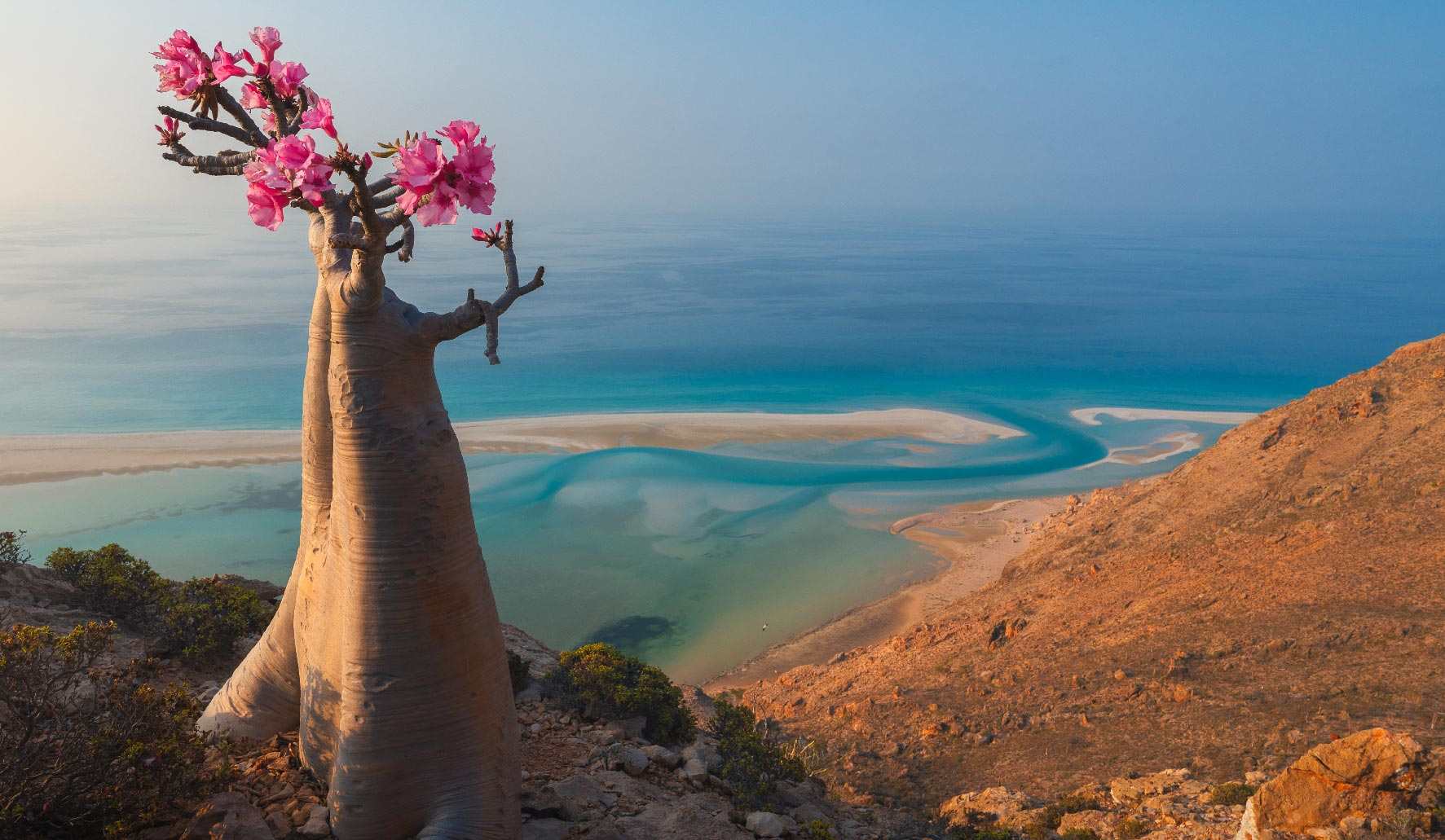 15th edition - Camera