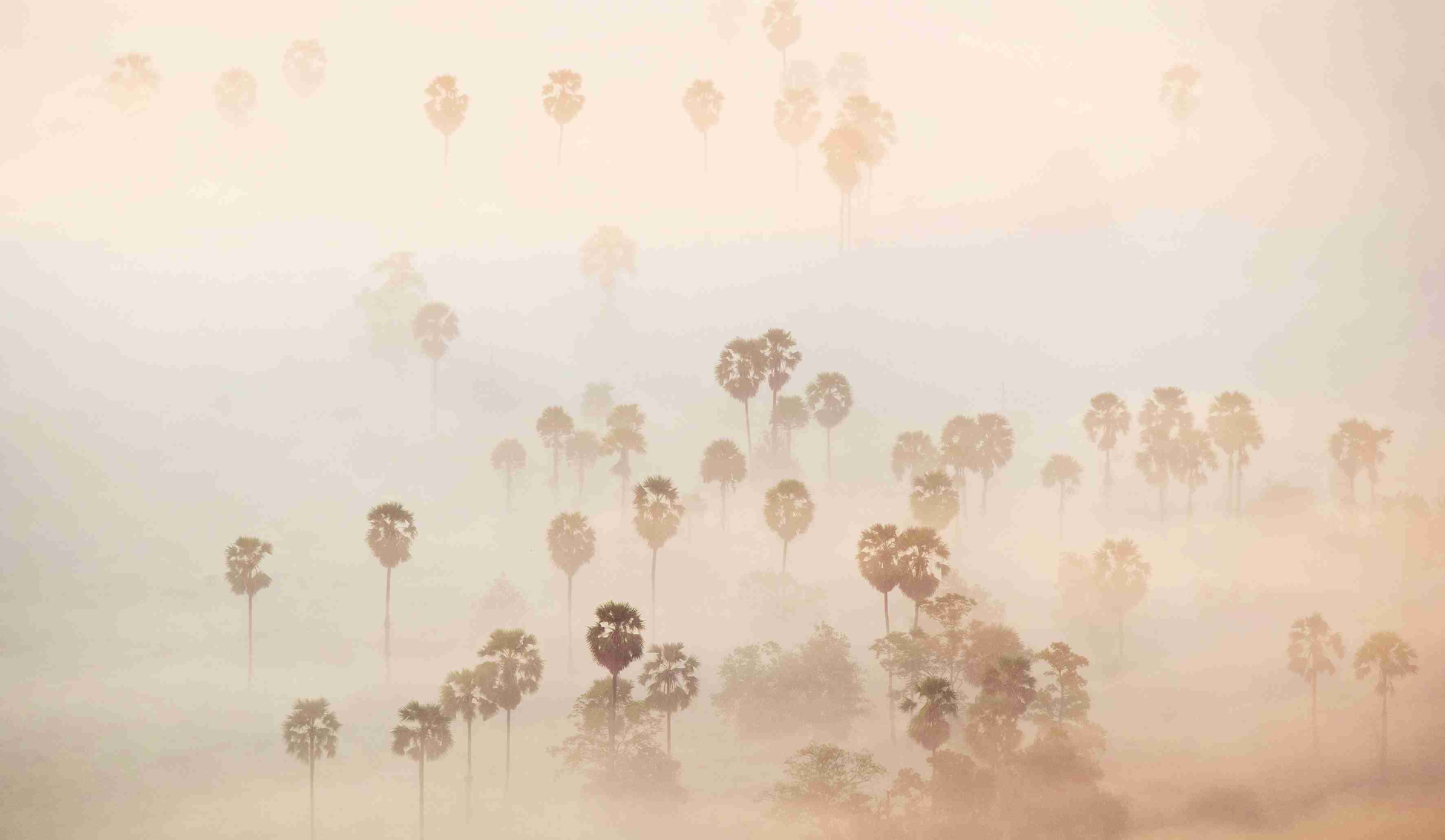 15th edition - Camera