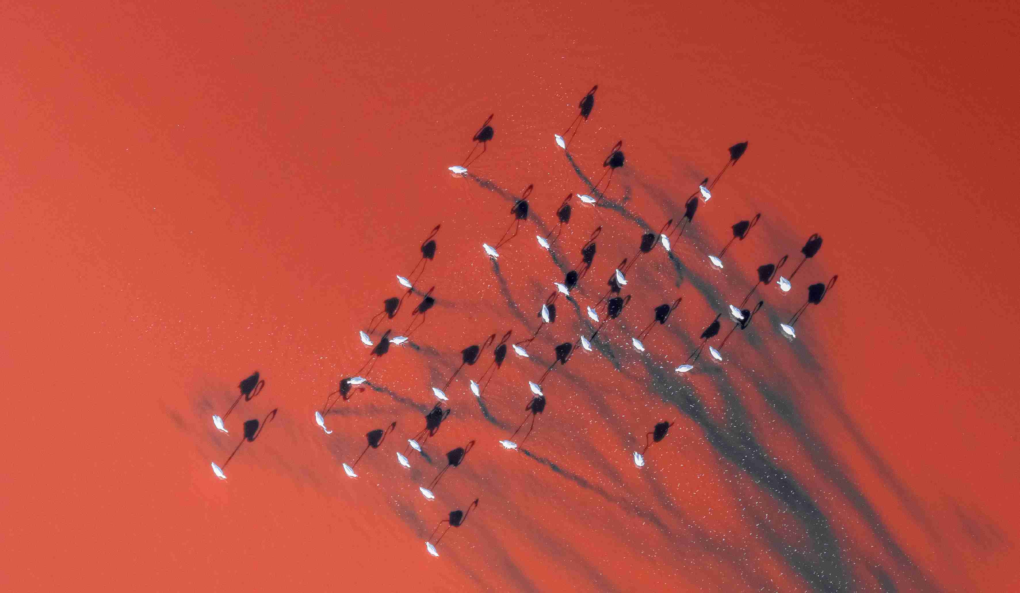 15th edition - Camera