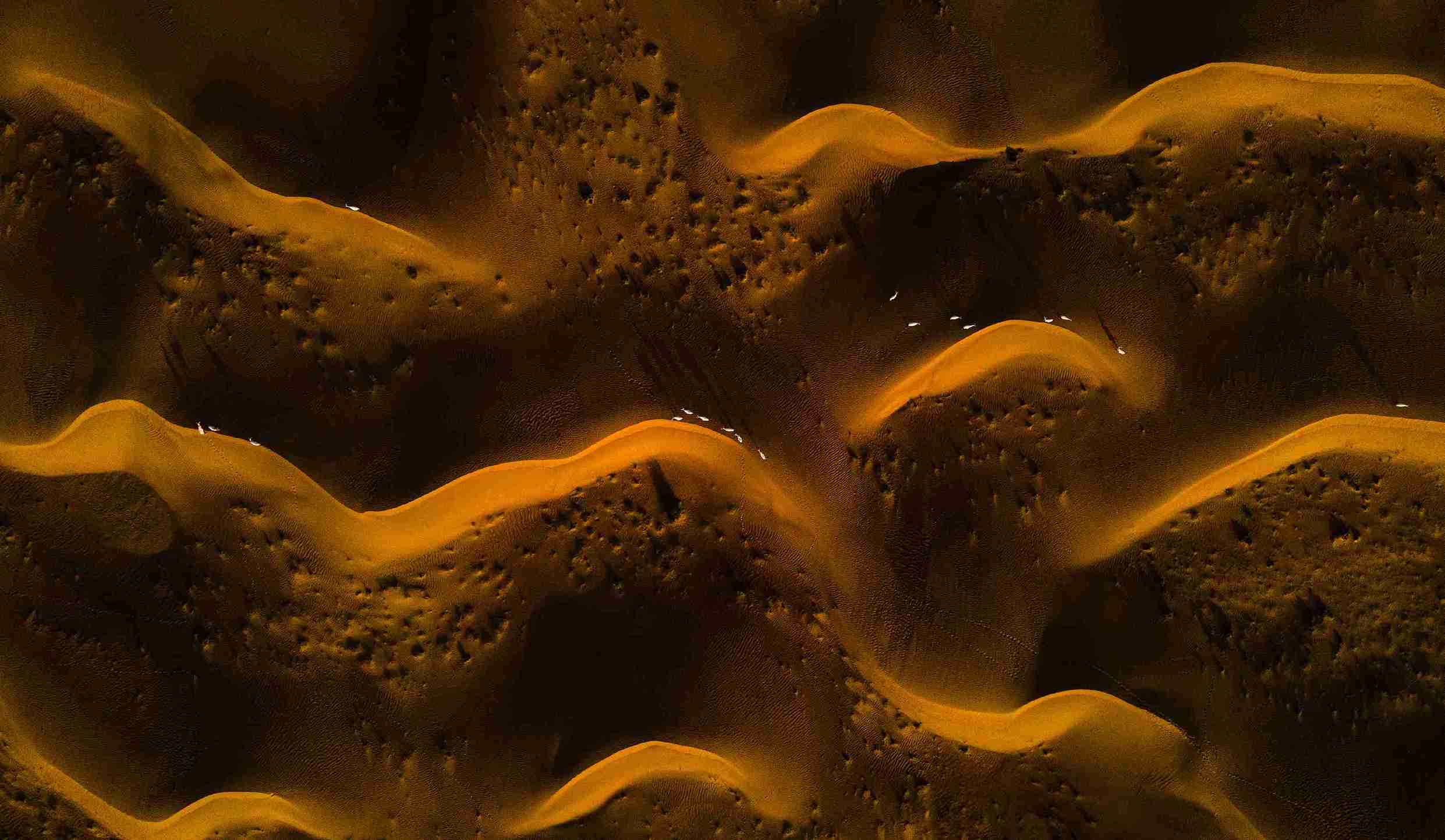 15th edition - Camera