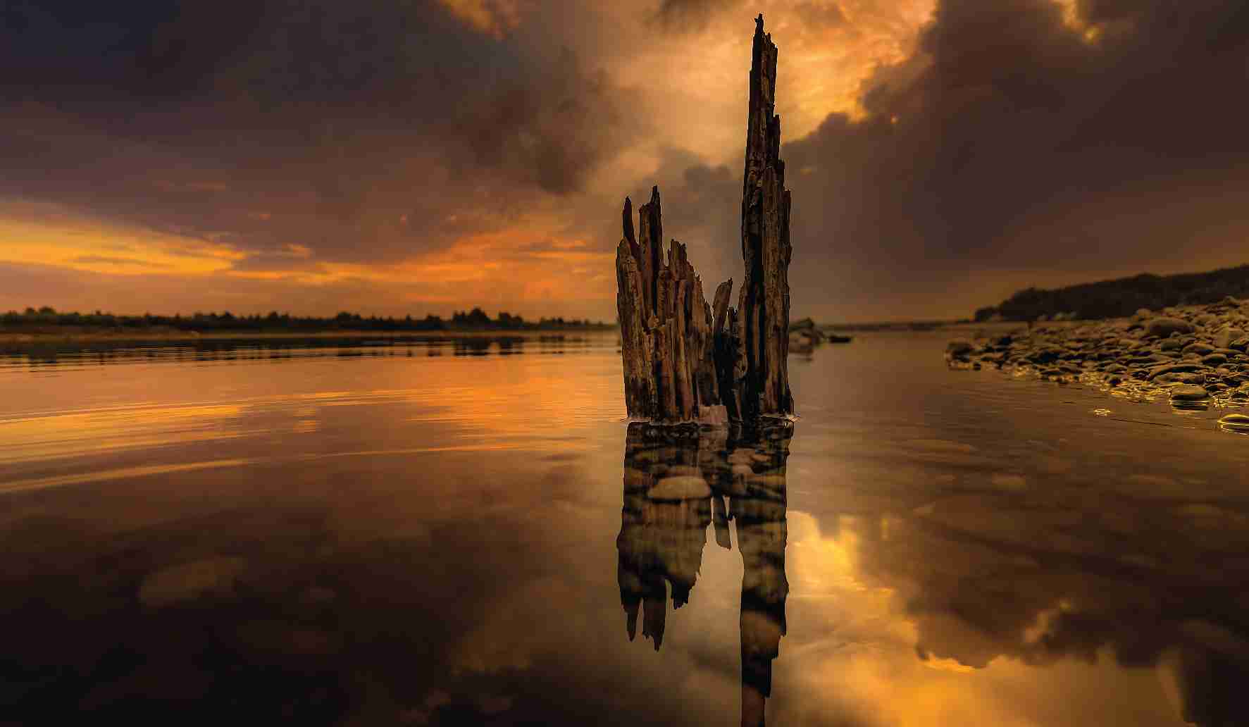 15th edition - Mobile