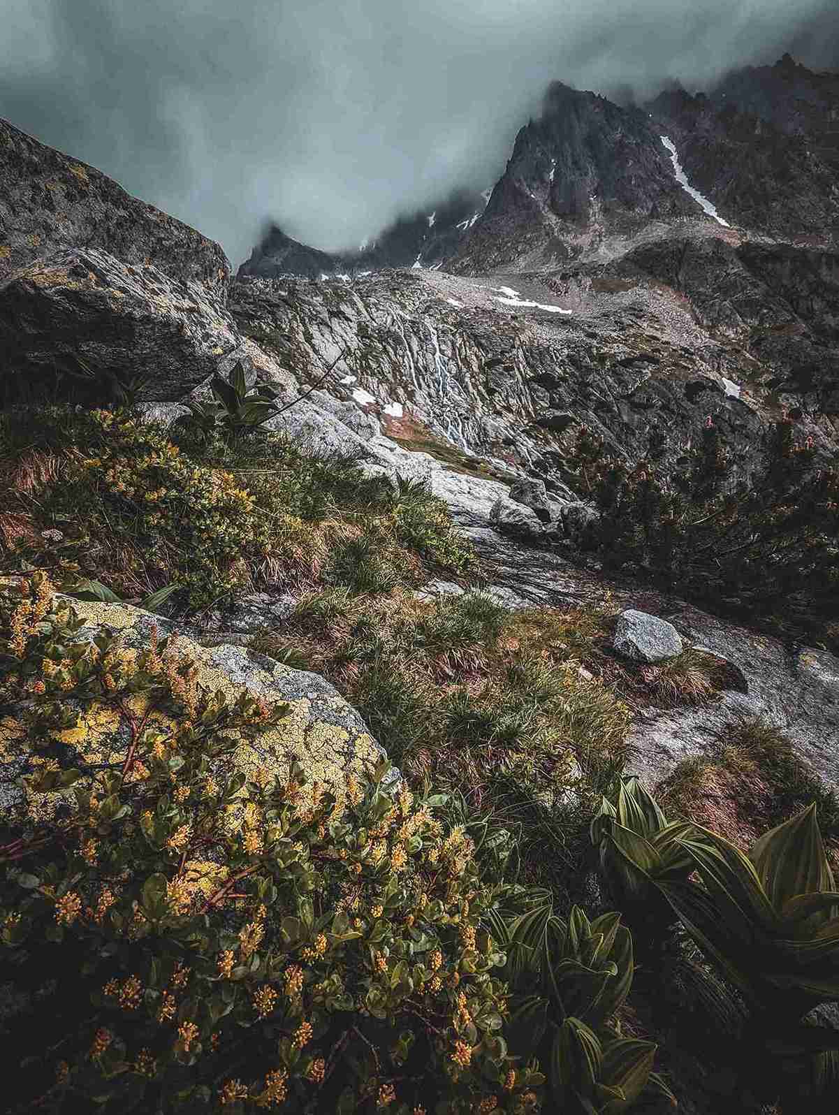 15th edition - Mobile