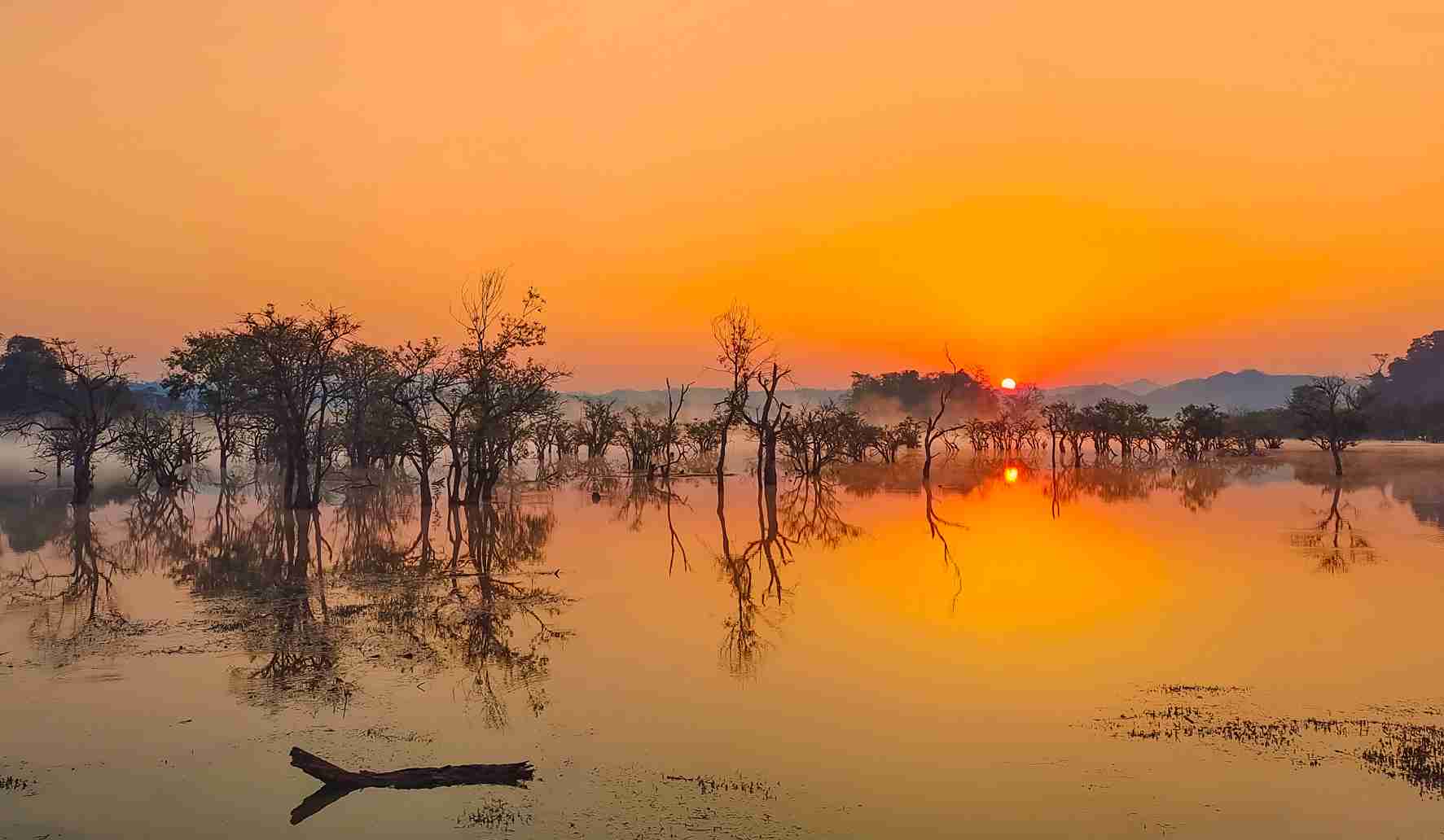 15th edition - Mobile