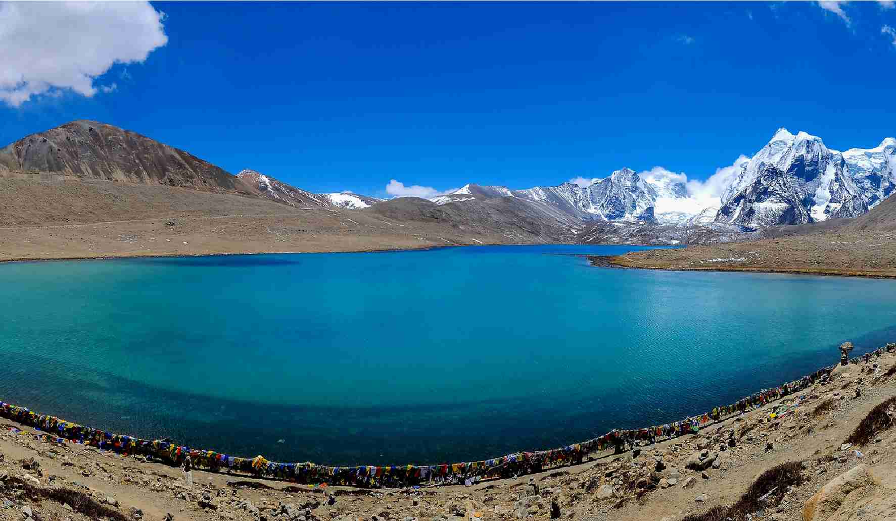 15th edition - Mobile