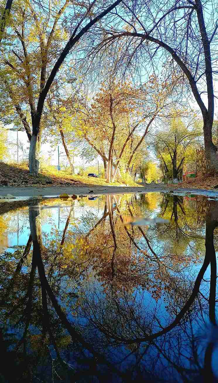 15th edition - Mobile